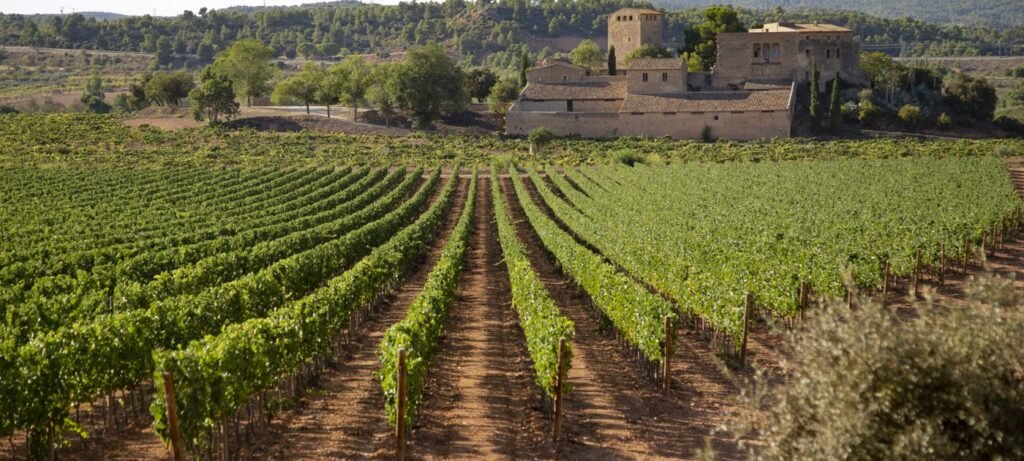 ZONA MOSCATELL
