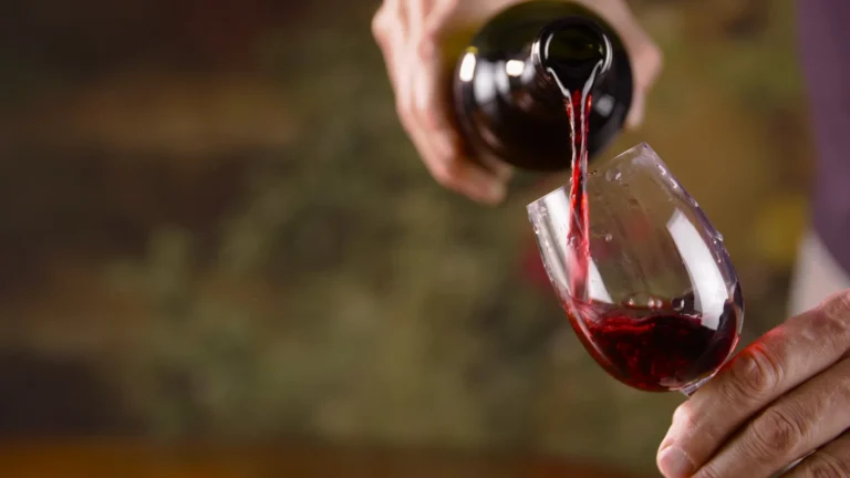 Servicio de vino Priorat